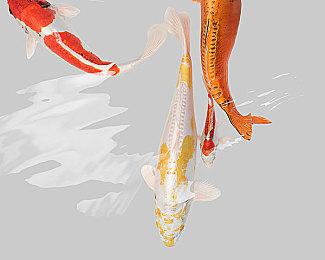 刚刚退出一个月 《致命躯壳》又重新加入XGP